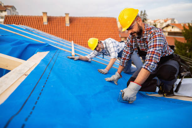 Best Affordable Roof Replacement  in USA